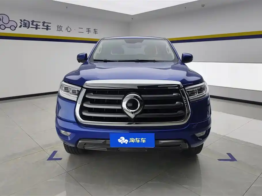 Cannon 2019 2.0T automatic gasoline two-wheel drive comfort version GW4C20B купить на сайте DeffCars