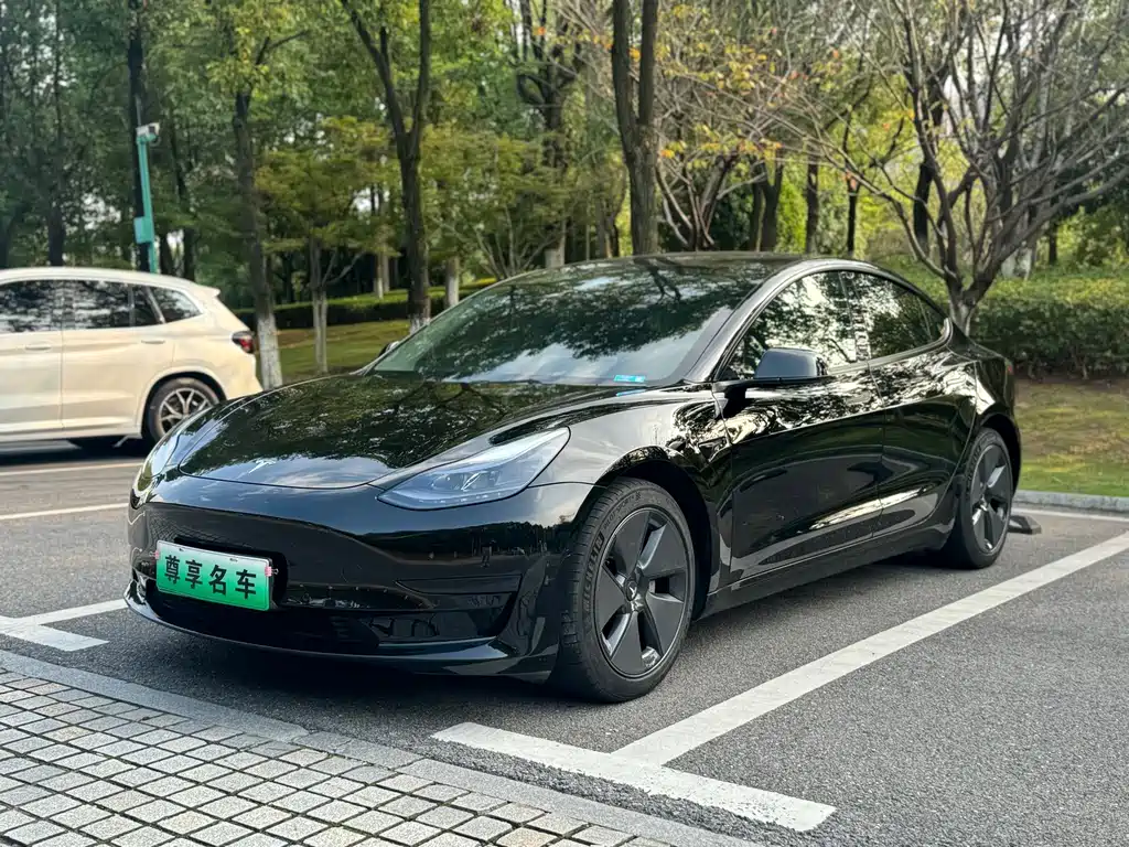 Model 3 2021 standard range rear drive upgraded version 3D6 купить на сайте DeffCars