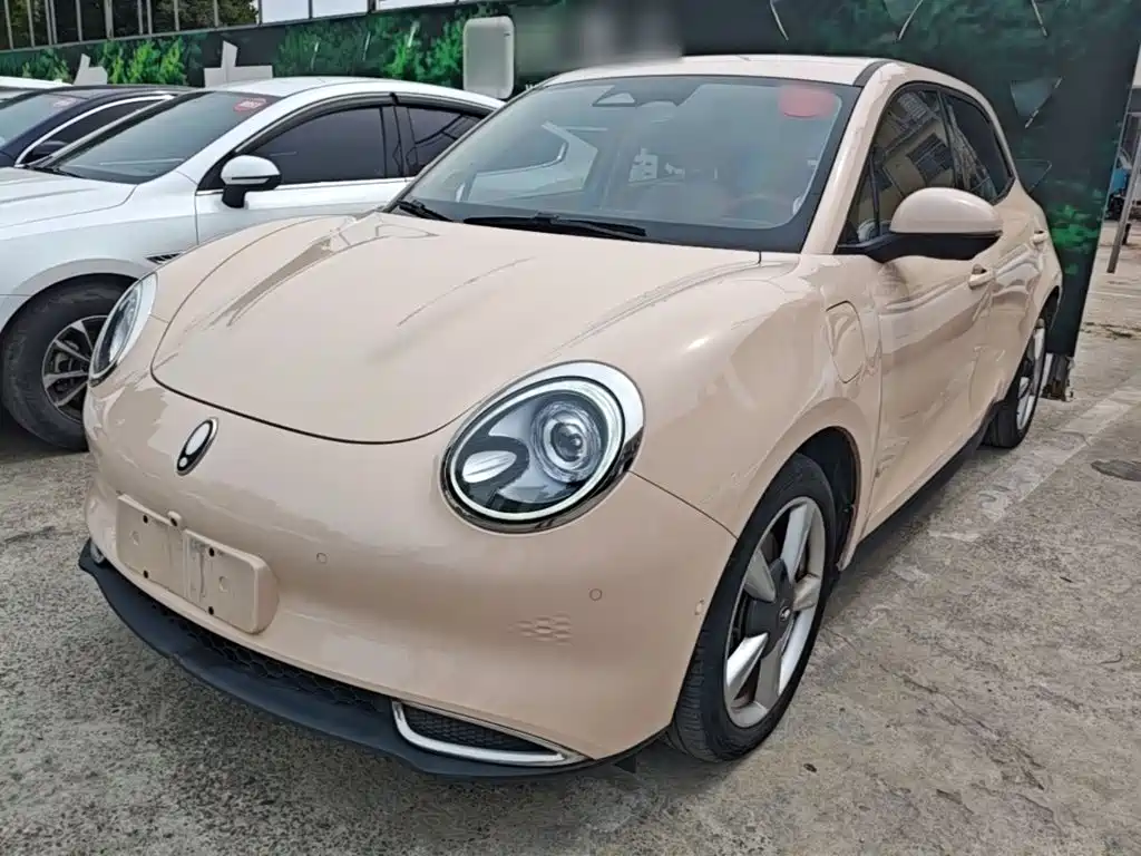 Euler Good Cat 2021 Model 400km Standard Range Athena Edition Lithium Iron Phosphate купить на сайте DeffCars