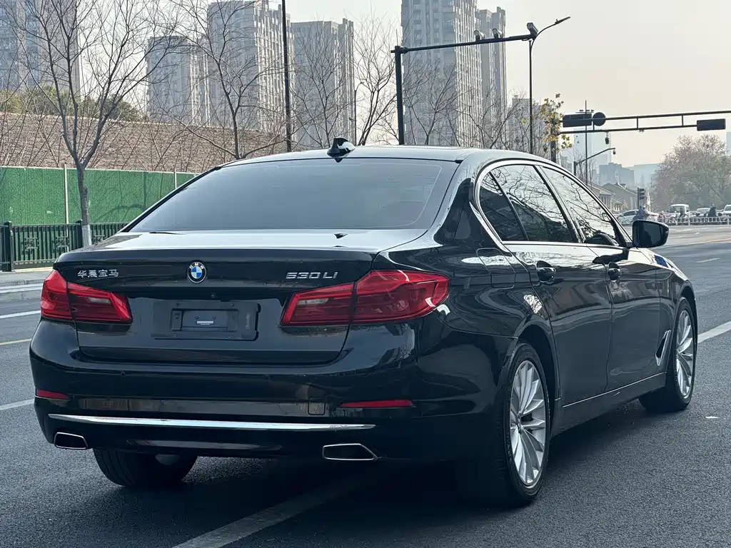 BMW 5 Series 2020 530Li Leading Luxury Package купить на сайте DeffCars