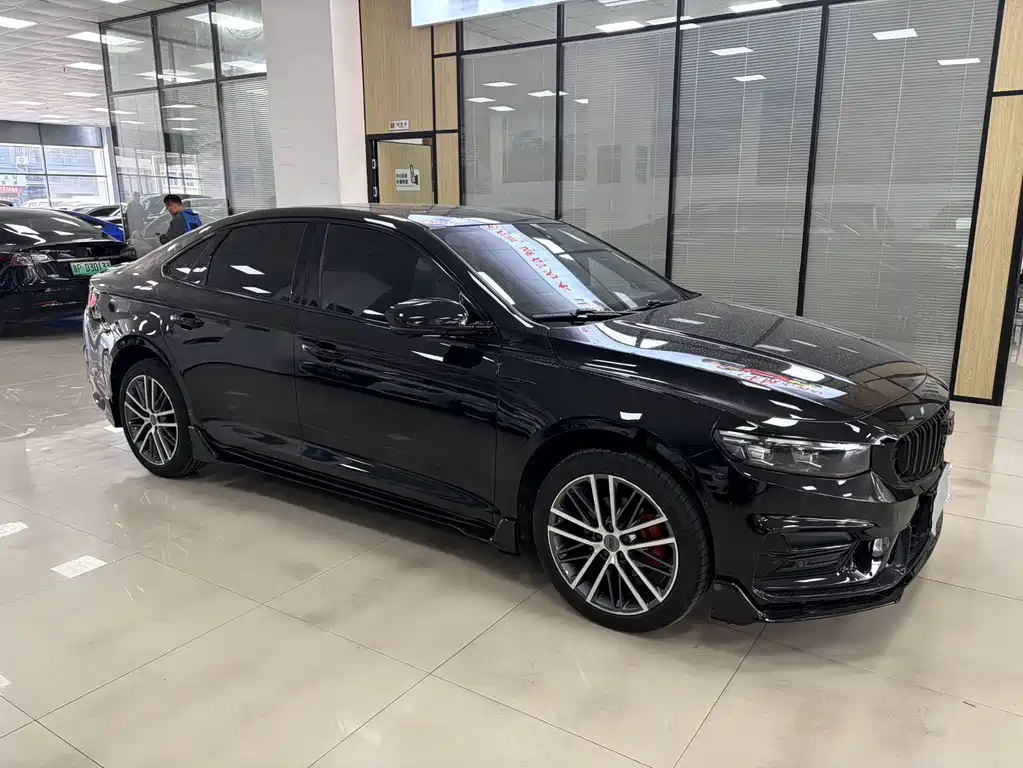 Xingrui 2023 2.0TD only comes in green version купить на сайте DeffCars