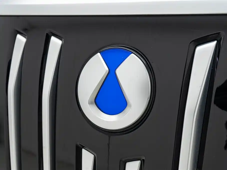 Denza D9 2022 EV 600 four-wheel drive flagship model купить на сайте DeffCars