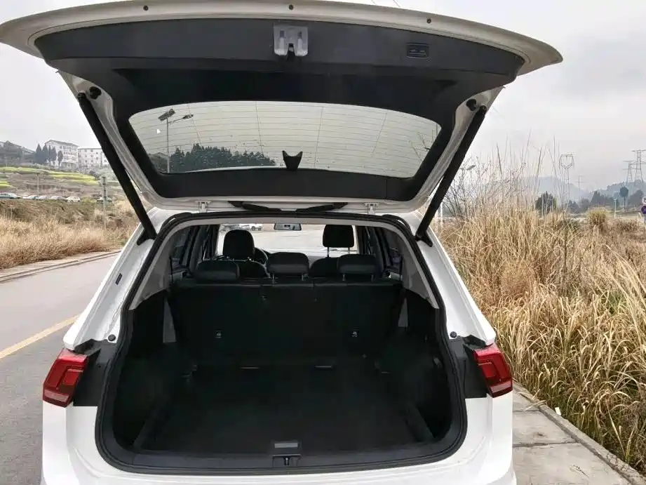 Tiguan L 2020 330TSI automatic two-wheel drive smart luxury version National VI купить на сайте DeffCars