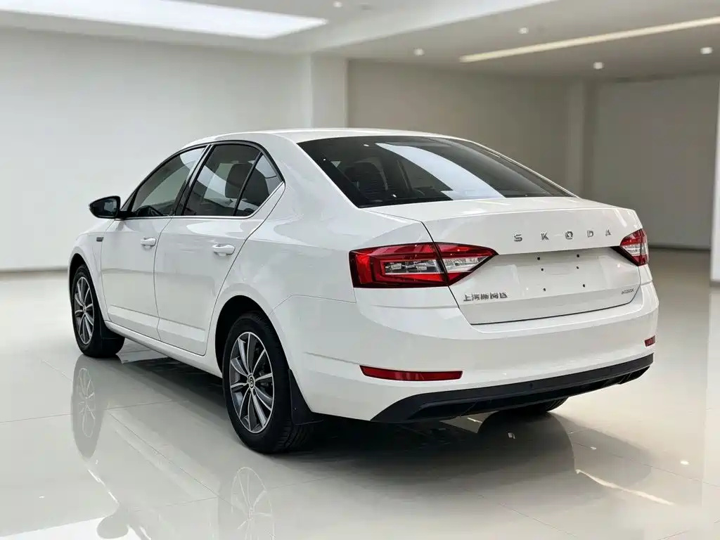 Octavia 2019 TSI230 DGSSenova Zhixing Comfort Edition National VI купить на сайте DeffCars
