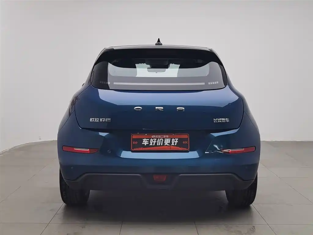 Euler Good Cat 2022 Morandi Edition 400km standard battery life luxury model ternary lithium купить на сайте DeffCars