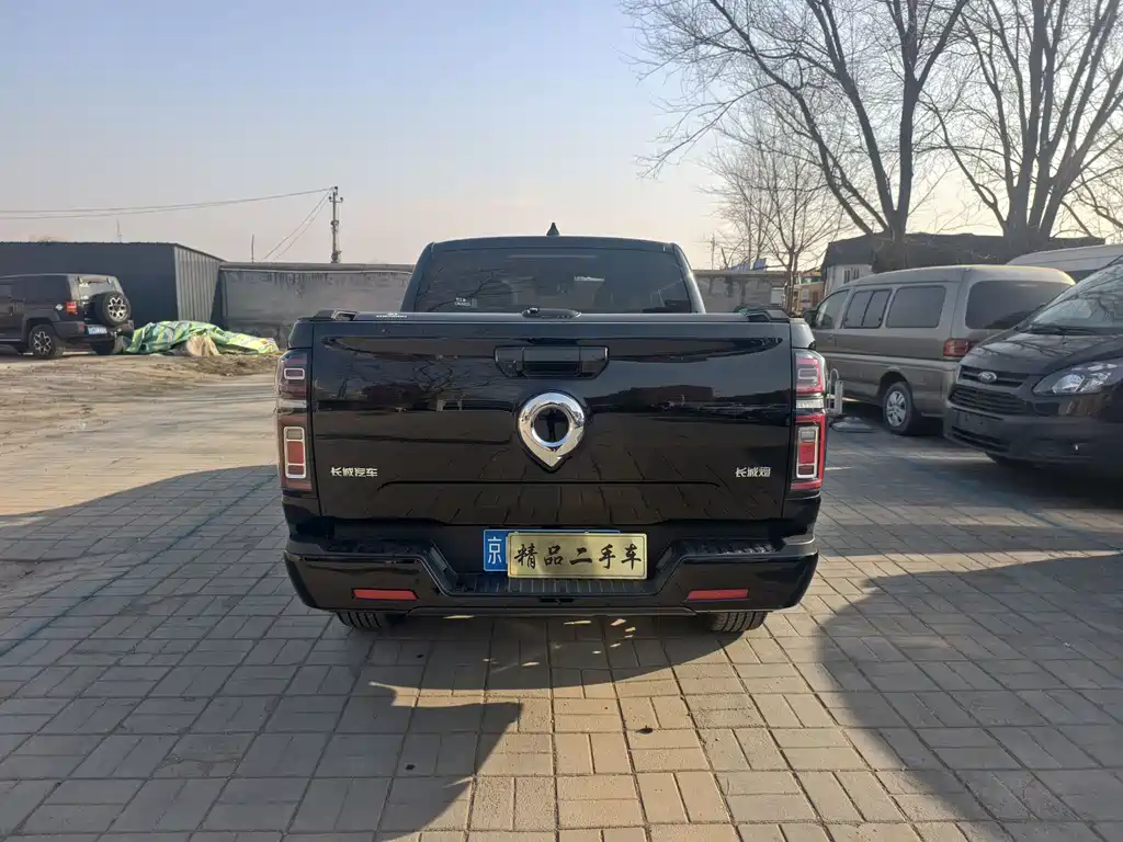 Cannon 2023 2.0T passenger version automatic gasoline four-wheel drive comfort model GW4C20B купить на сайте DeffCars