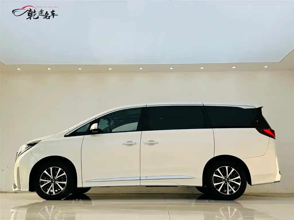 Trumpchi M8 2021 Lead Show Series 390T Exclusive Edition купить на сайте DeffCars