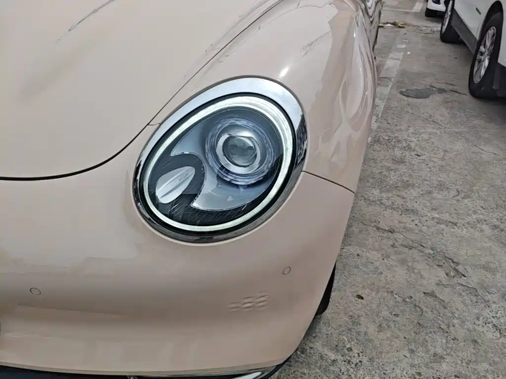 Euler Good Cat 2021 Model 400km Standard Range Athena Edition Lithium Iron Phosphate купить на сайте DeffCars