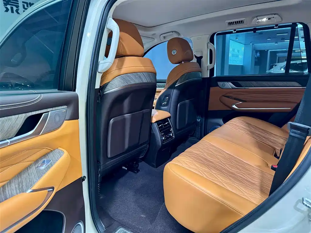 Tank 500 2023 model 3.0T business version environment type 5 seats купить на сайте DeffCars