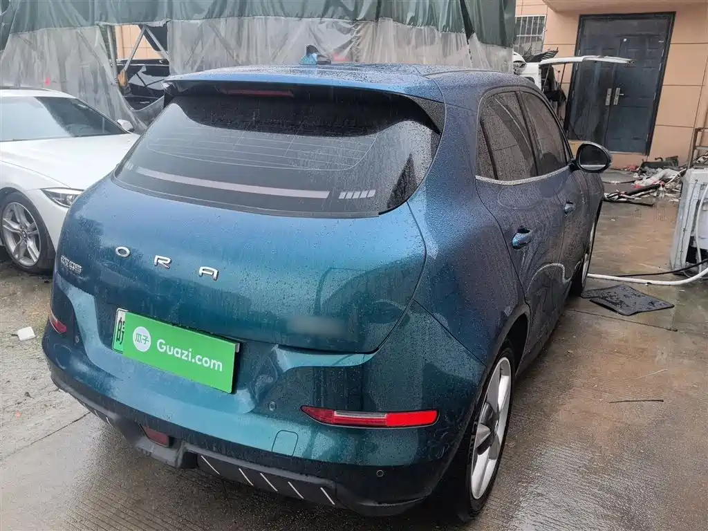 Euler Good Cat 2023 model 401km standard battery life luxury model lithium iron phosphate купить на сайте DeffCars