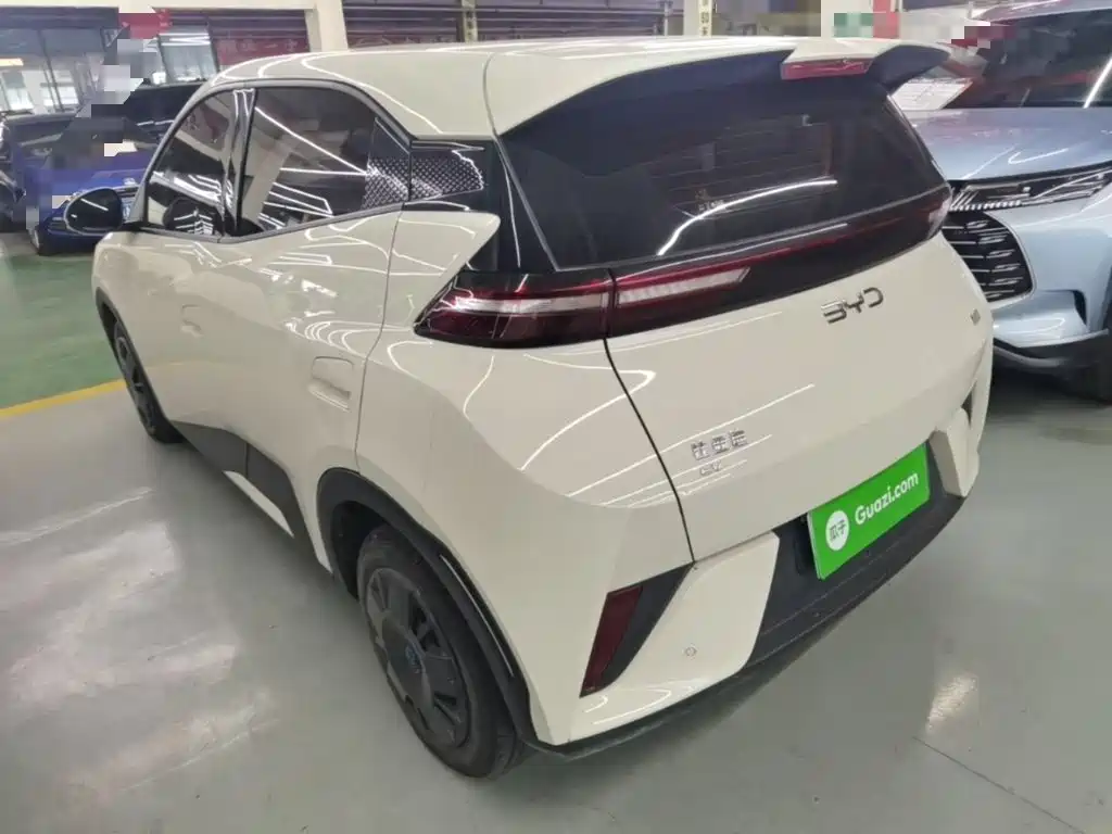 Seagull 2025 305km active version купить на сайте DeffCars
