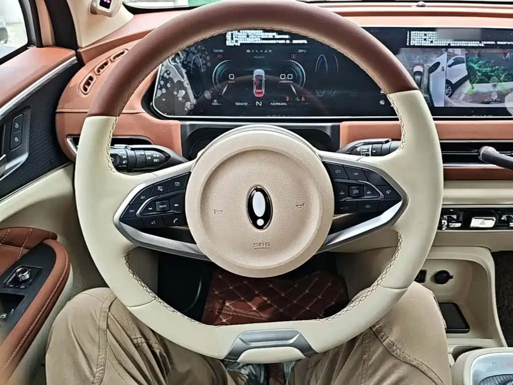 Euler Good Cat 2021 Model 400km Standard Range Athena Edition Lithium Iron Phosphate купить на сайте DeffCars