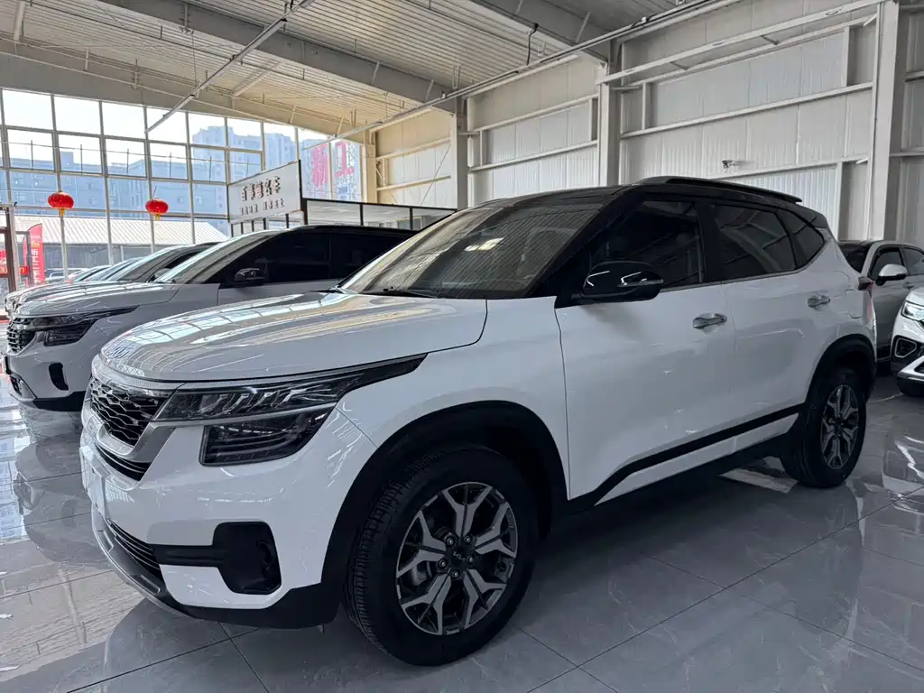 KX3 Propao 2021 1.5L CVT refreshed version купить на сайте DeffCars