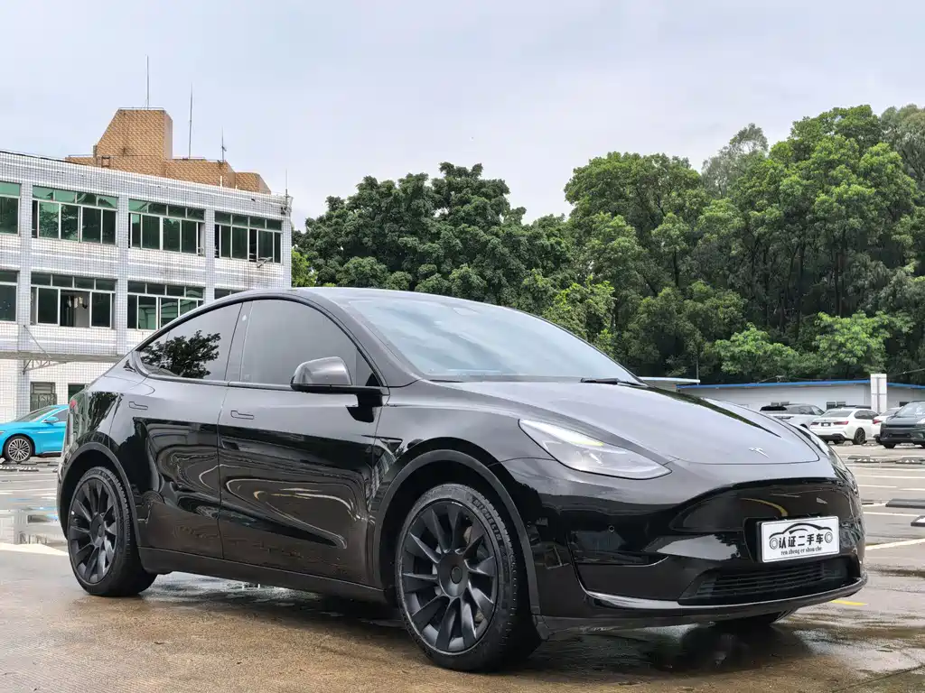 Model Y 2022 rear-wheel drive version купить на сайте DeffCars