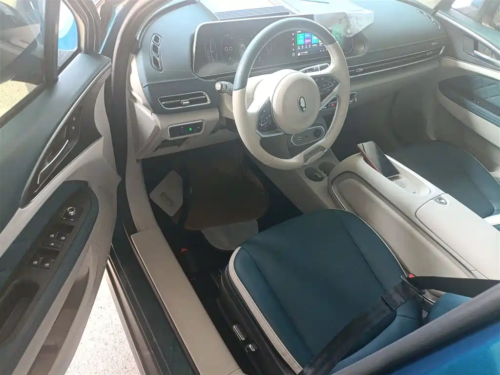 Euler Good Cat 2023 model 401km standard battery life luxury model lithium iron phosphate купить на сайте DeffCars
