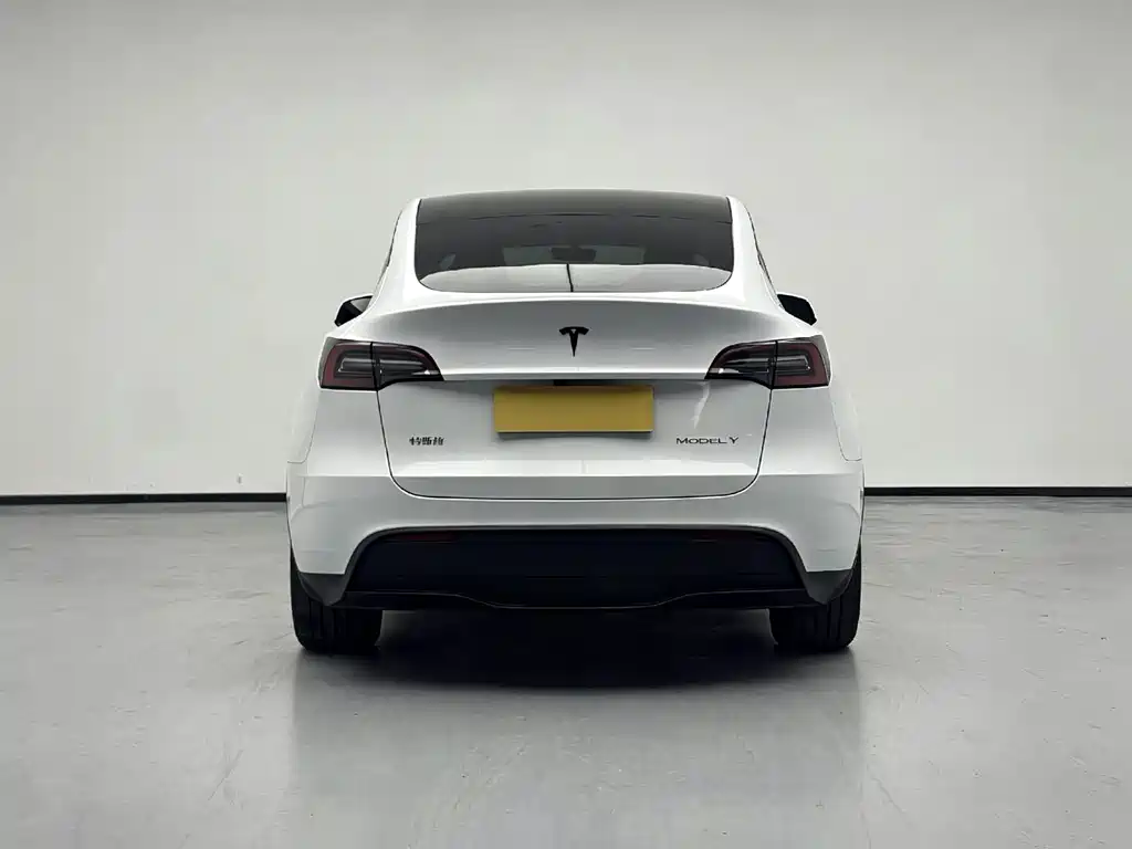 Model Y 2024 rear-wheel drive version купить на сайте DeffCars