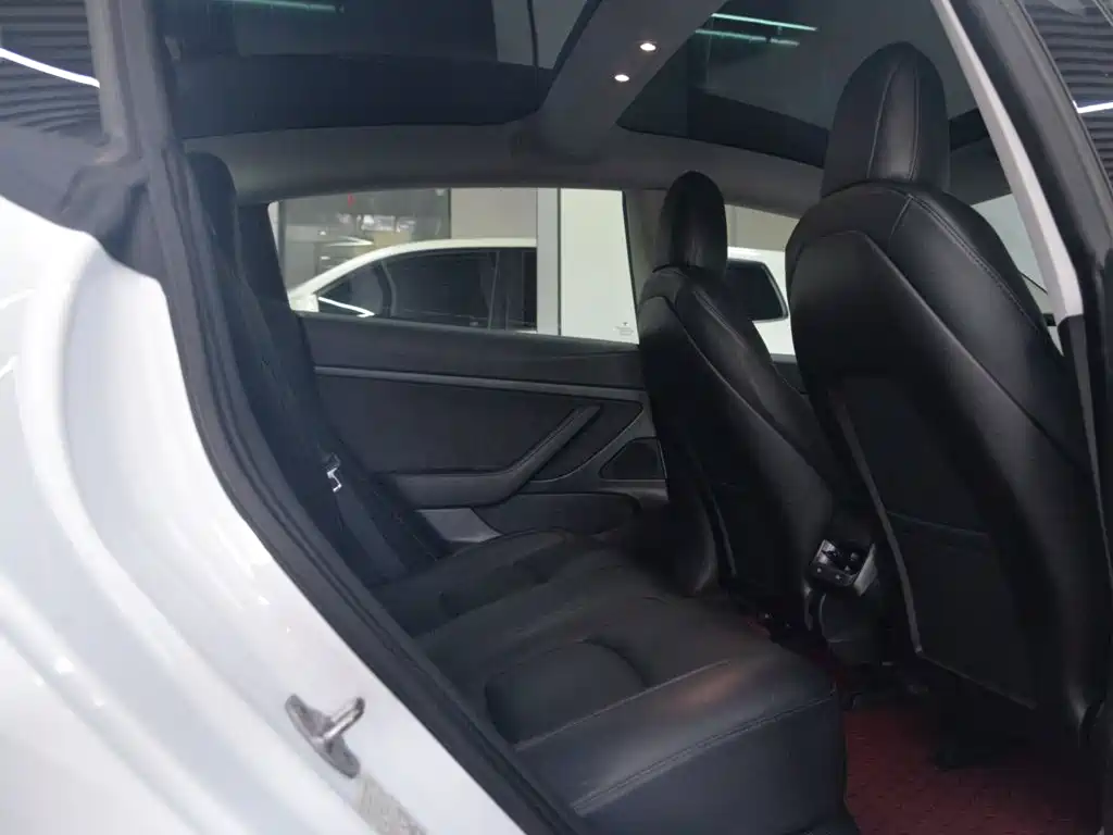 Model 3 2020 Standard Range Rear Drive Upgraded Version купить на сайте DeffCars