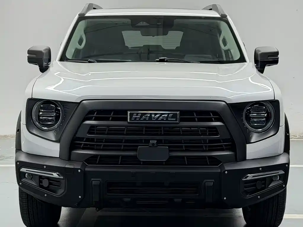 Havaldog 2022 2.0T DCT four-wheel drive Chinese pastoral dog hunting version купить на сайте DeffCars