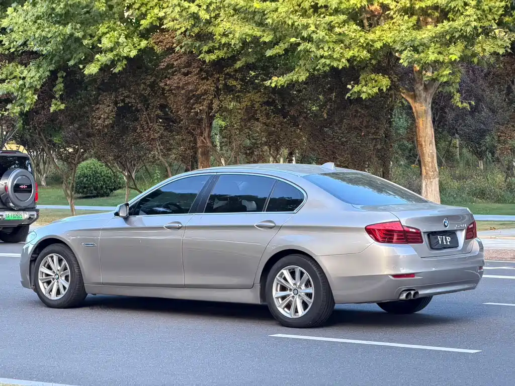 BMW 5 Series 2017 520Li Elegant купить на сайте DeffCars
