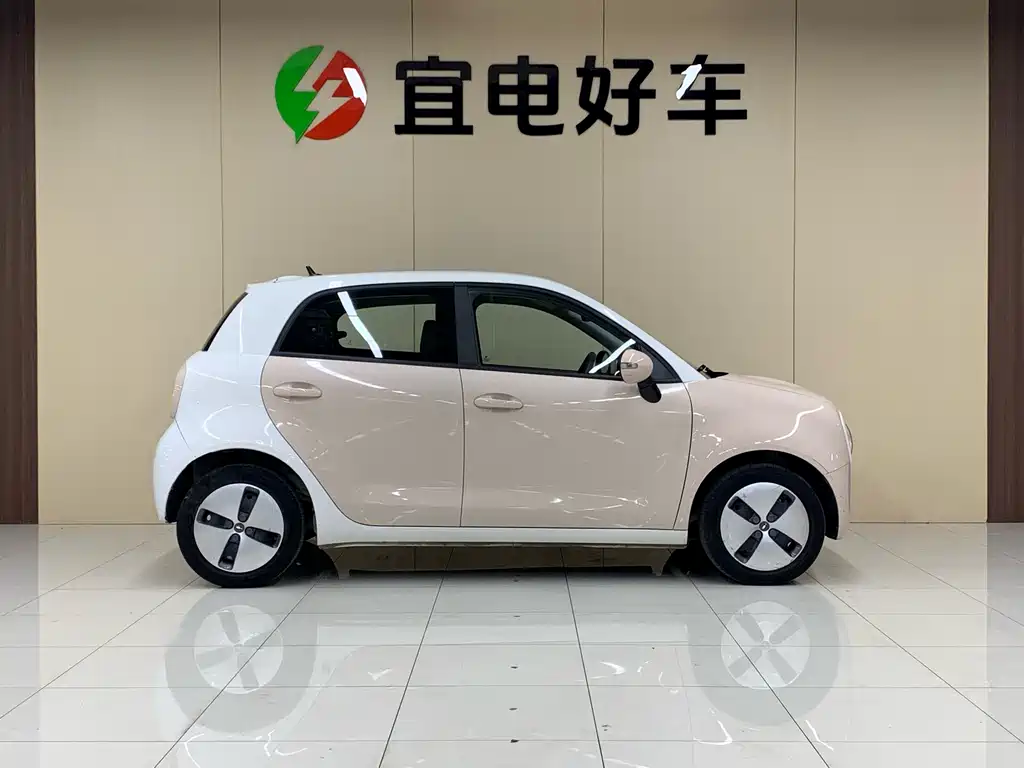 Euler Black Cat 2021 301km basic model купить на сайте DeffCars