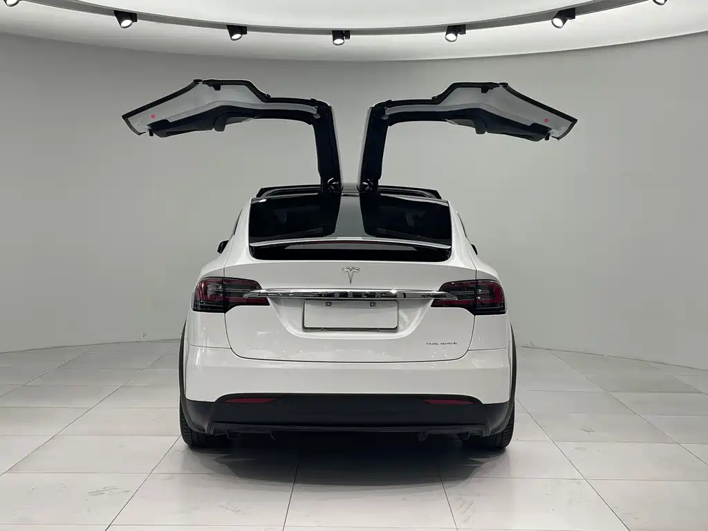 Model X 2019 Long Range Edition купить на сайте DeffCars