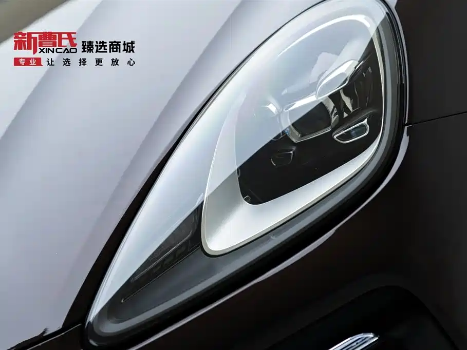 Cayenne 2022 Cayenne 3.0T Platinum Edition купить на сайте DeffCars