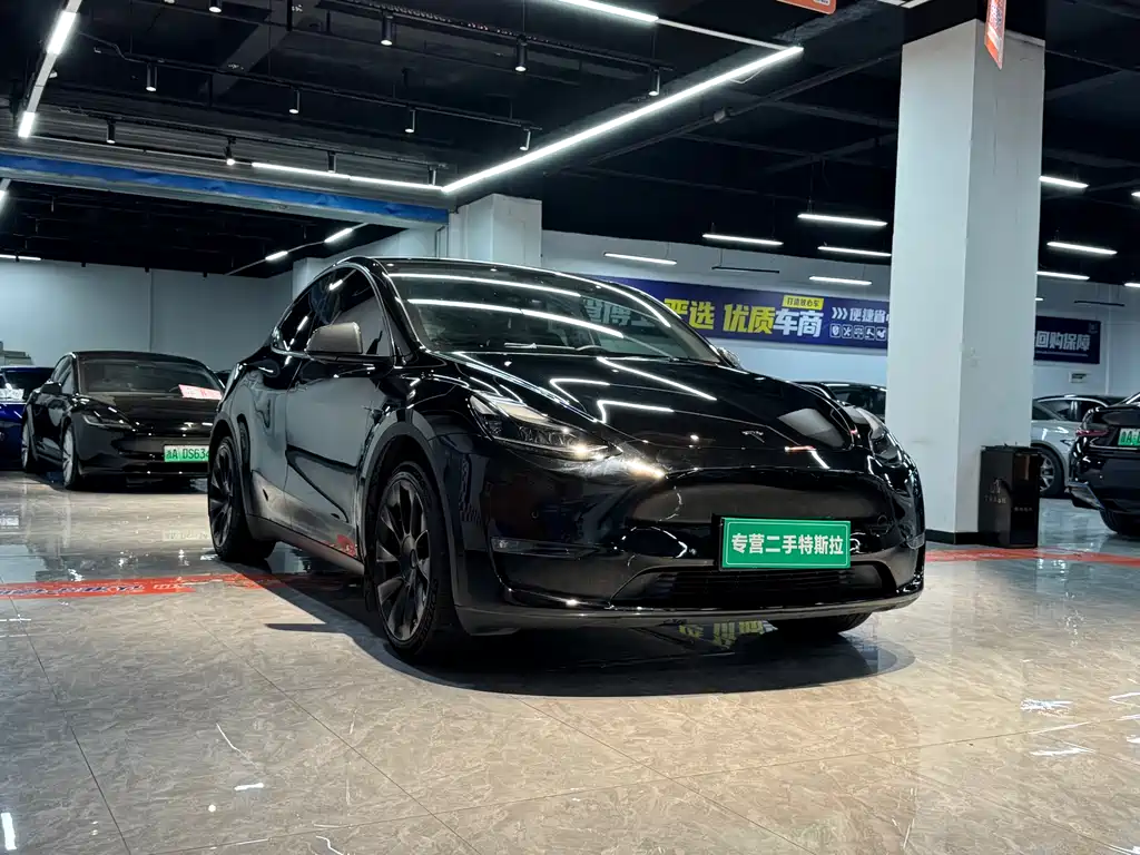 Model Y 2021 standard range rear-wheel drive version купить на сайте DeffCars