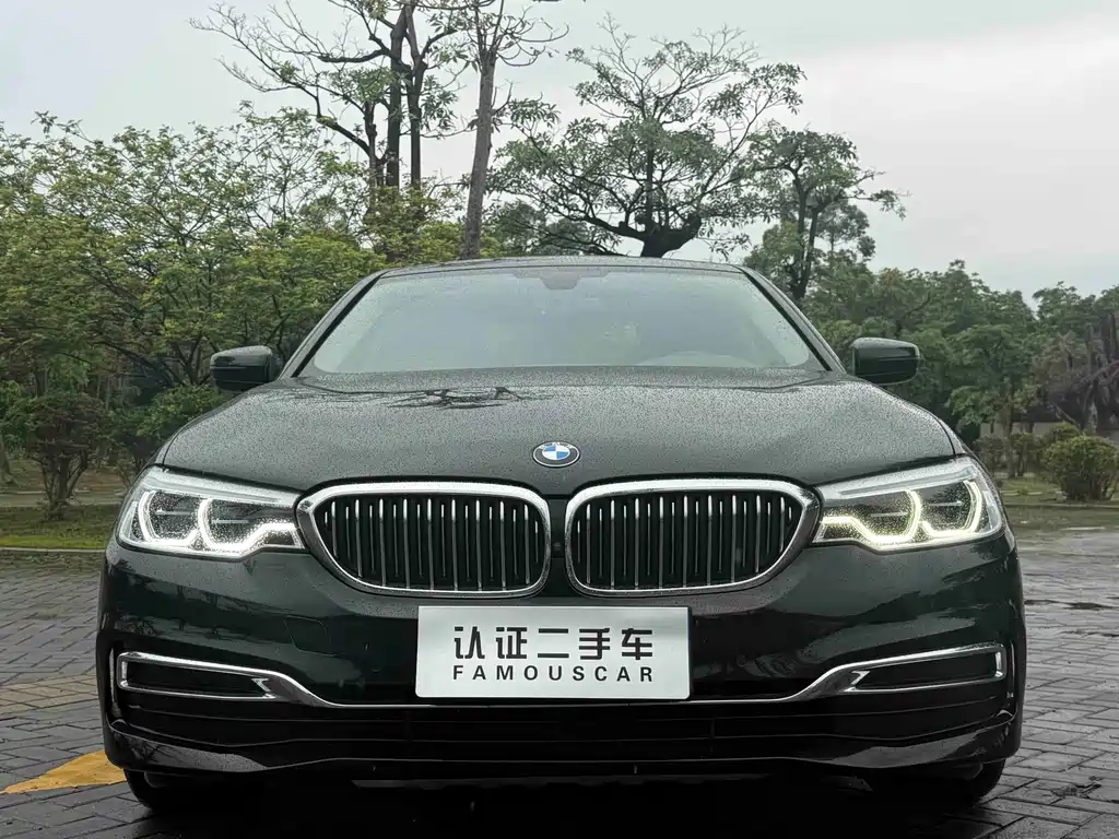 BMW 5 Series 2020 530Li Exclusive Luxury Package купить на сайте DeffCars