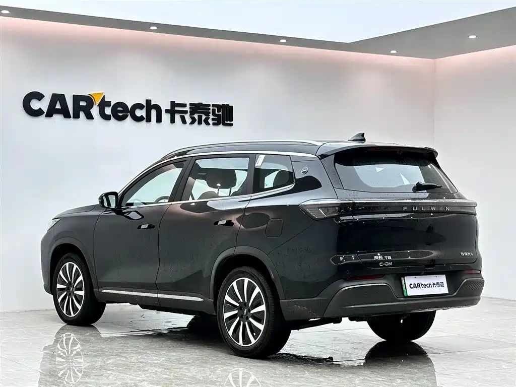 Fengyun T8 2025 model 1.5T 130km exclusive version 5 seats купить на сайте DeffCars