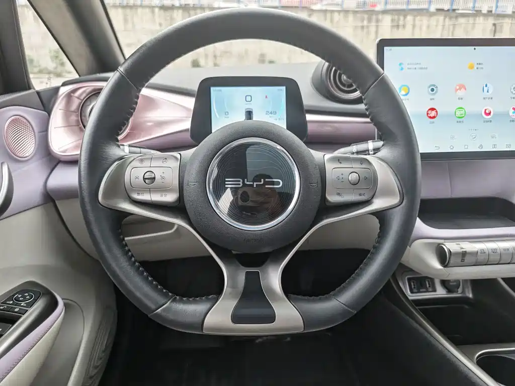 Dolphin 2021 405km Fashion Edition купить на сайте DeffCars