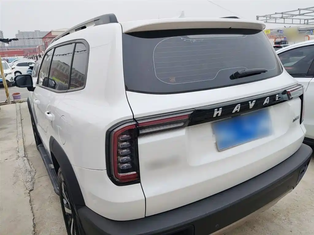 Havaldog 2021 1.5T DCT two-wheel drive Labrador version купить на сайте DeffCars
