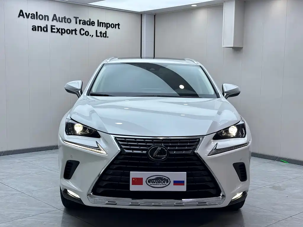 Lexus NX 2020 200 AWD Fengshang Edition National VI купить на сайте DeffCars