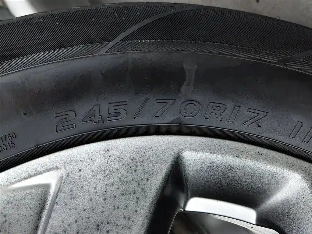 Cannon 2021 2.0T commercial version automatic diesel two-wheel drive elite long box GW4D20M купить на сайте DeffCars