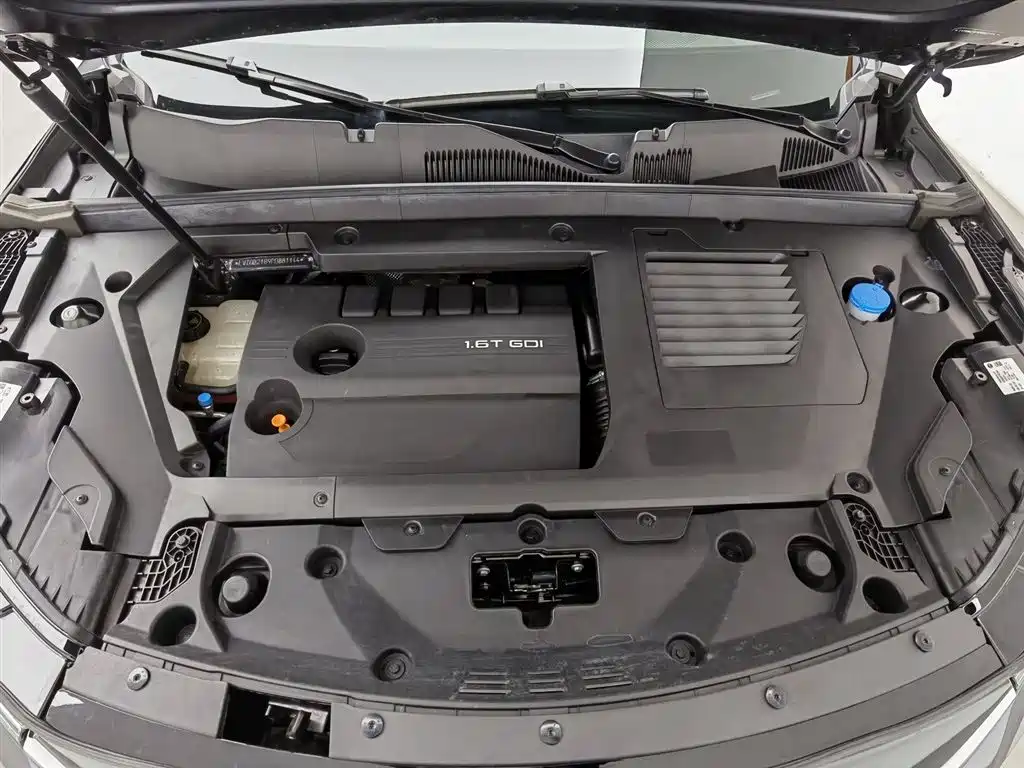 Xingtu Lingyun 2024 300T 2WD Xingyao Edition купить на сайте DeffCars