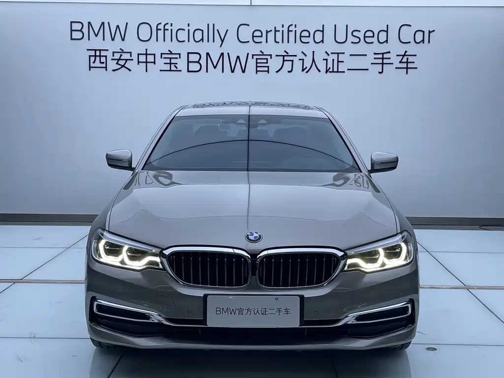BMW 5 Series New Energy 2020 Mileage Upgraded Version 530Le Luxury Package купить на сайте DeffCars