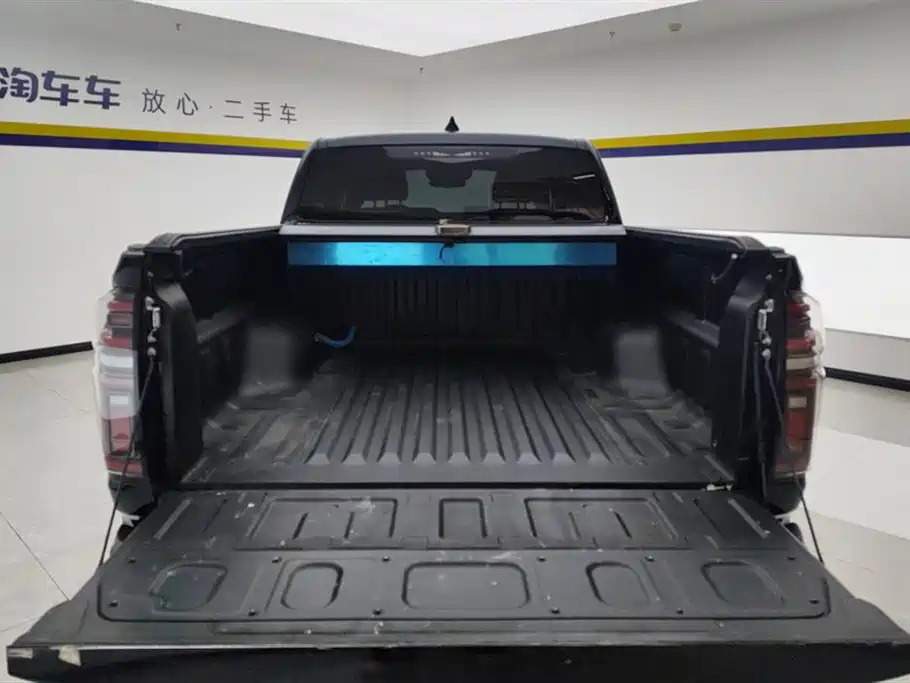 Cannon 2021 2.0T Passenger Global Version Automatic Diesel Two-wheel Drive Comfort Standard Box GW4D20M купить на сайте DeffCars