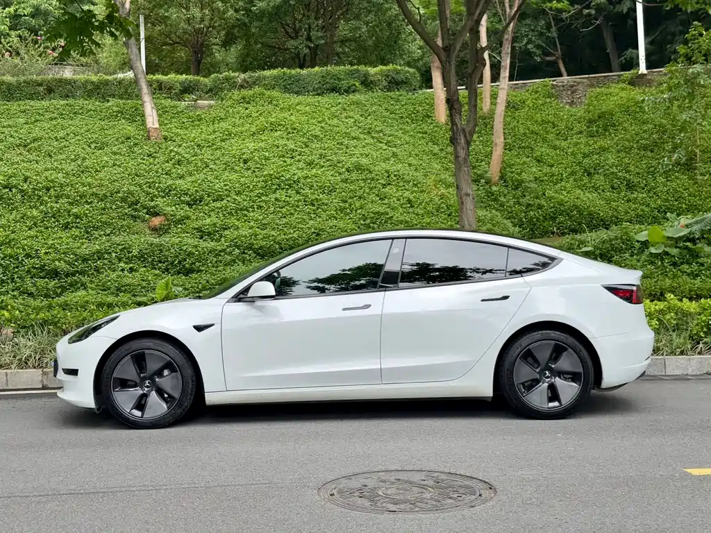 Model 3 2022 rear-wheel drive version купить на сайте DeffCars