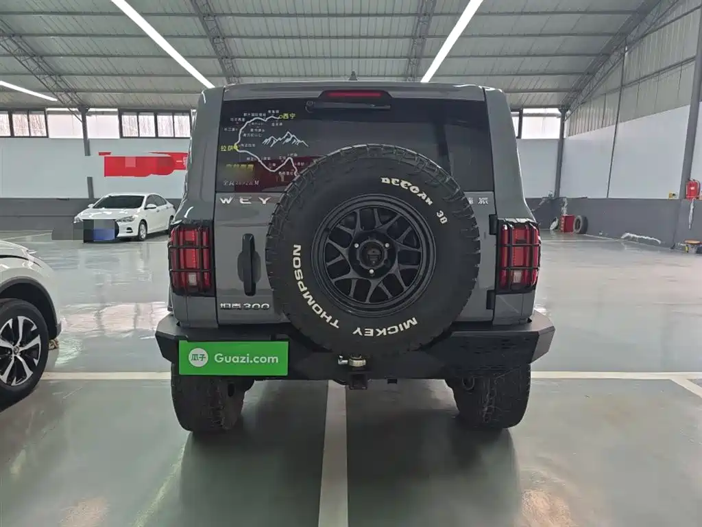 Tank 300 2021 Off-Road Version 2.0T Conqueror купить на сайте DeffCars