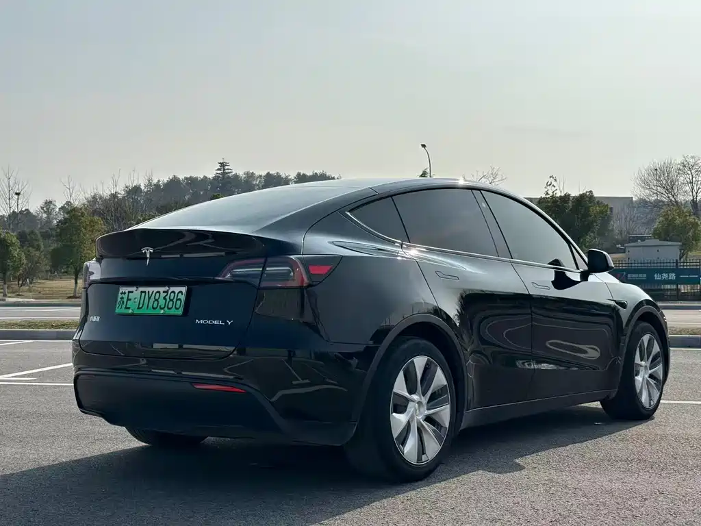 Model Y 2021 standard range rear-wheel drive version купить на сайте DeffCars