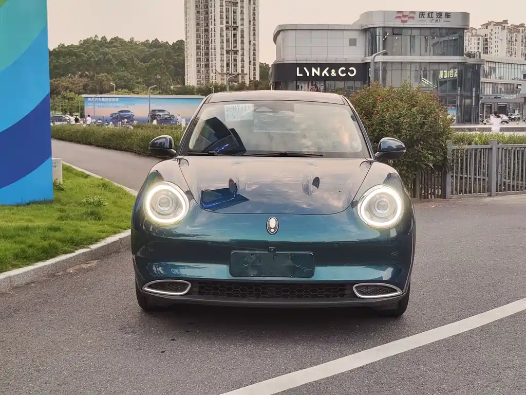 Euler Good Cat 2021 Model 400km Standard Range Athena Edition Lithium Iron Phosphate купить на сайте DeffCars