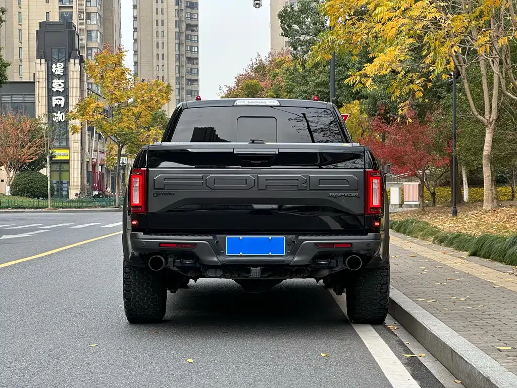 Ford F-150 Raptor 2018 3.5T Raptor Performance Enhanced Edition купить на сайте DeffCars