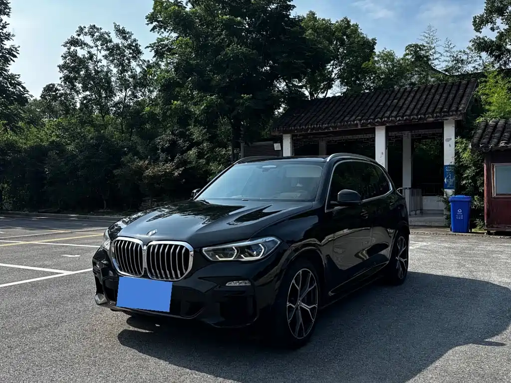 BMW X5 imported 2019 xDrive40i exclusive M sports package купить на сайте DeffCars