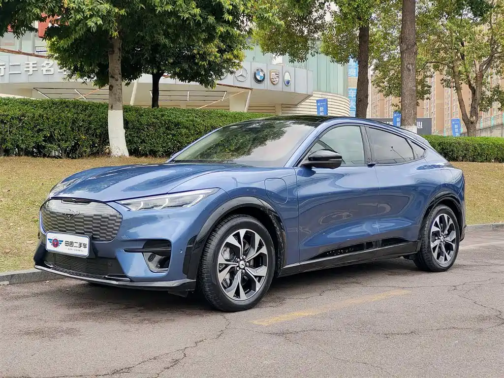 Ford E-horse 2021 Borderless rear-wheel drive luxury version with long battery life купить на сайте DeffCars