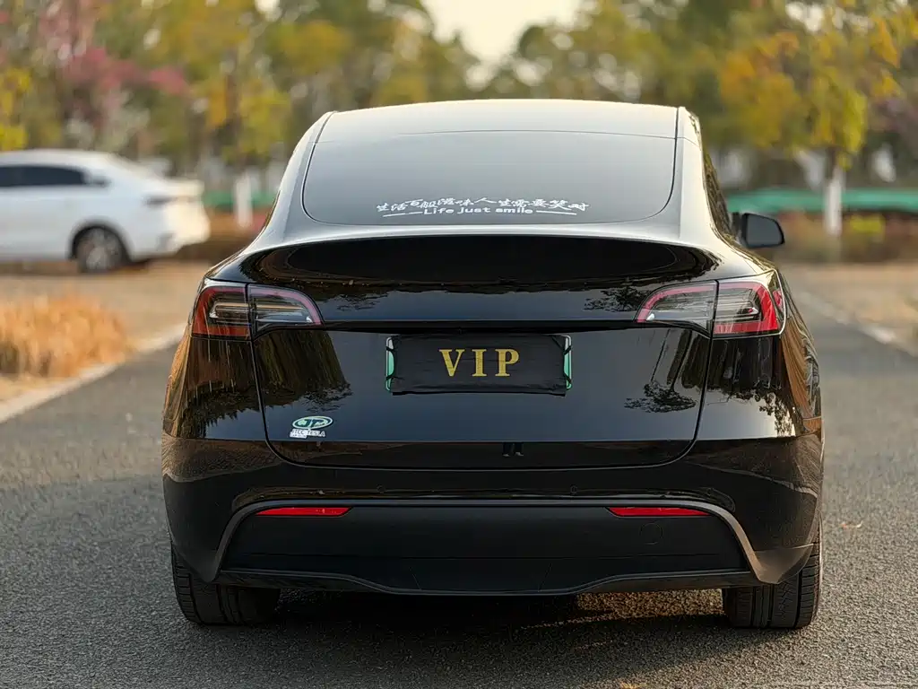 Model Y 2023 rear-wheel drive version купить на сайте DeffCars