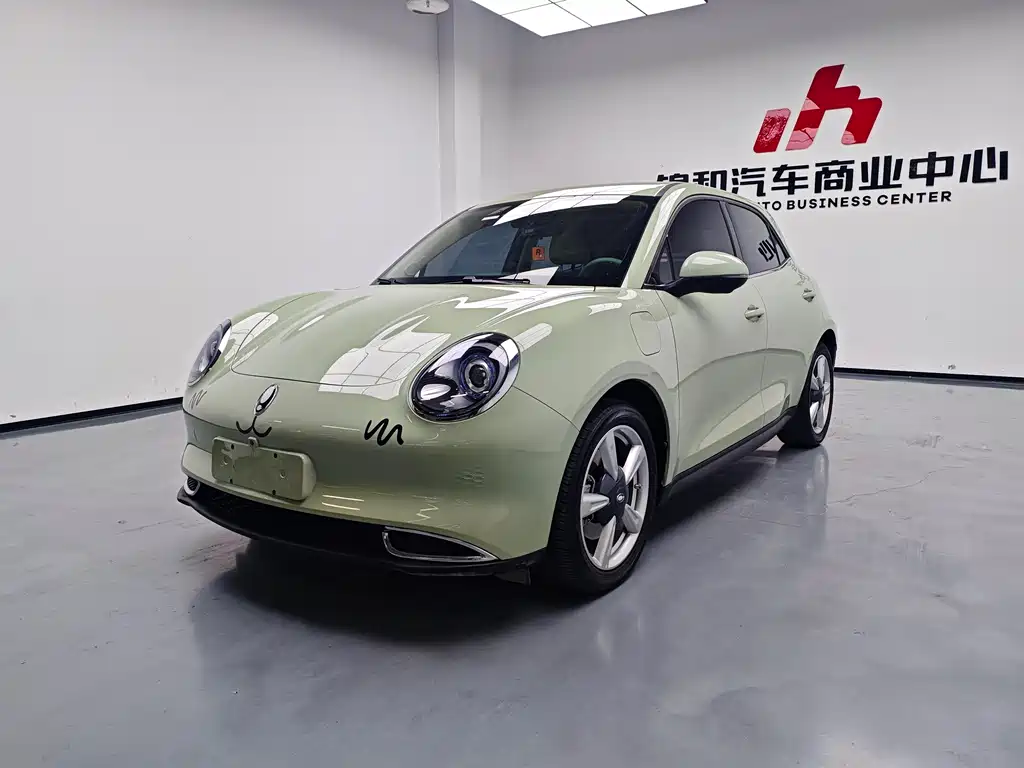 Euler Good Cat 2023 model 401km standard battery life luxury model lithium iron phosphate купить на сайте DeffCars