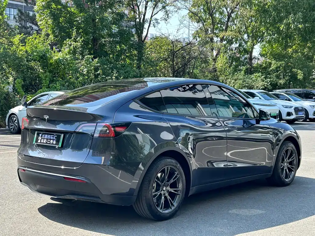 Model Y 2024 rear-wheel drive version купить на сайте DeffCars