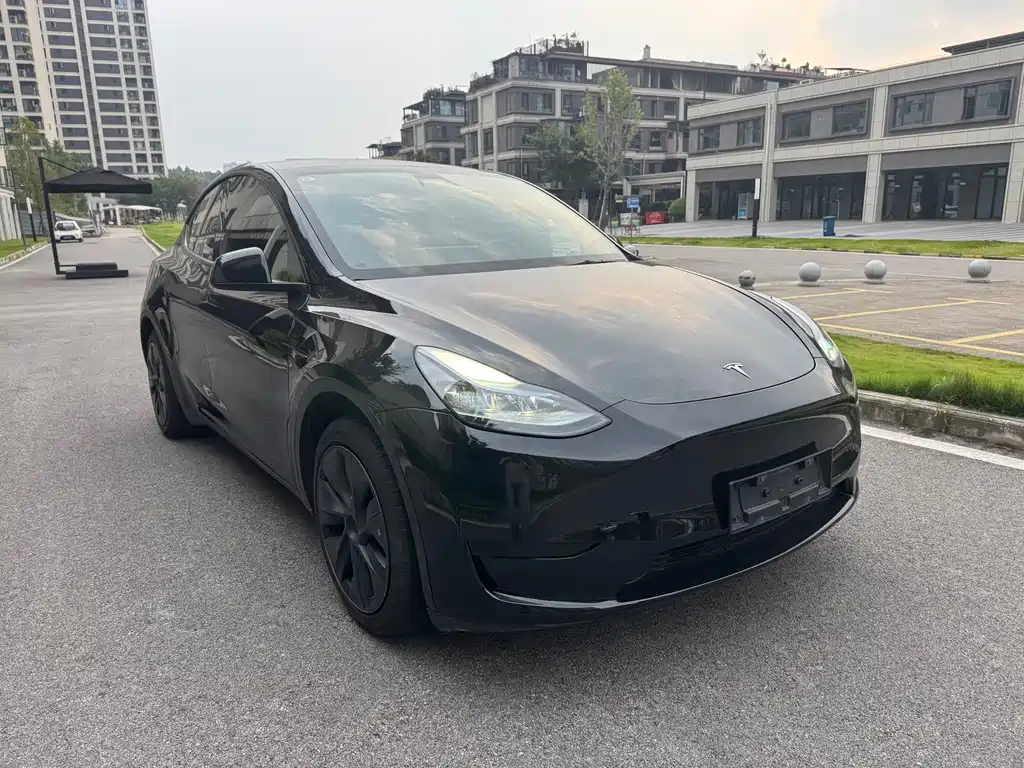 Model Y 2024 rear-wheel drive version купить на сайте DeffCars