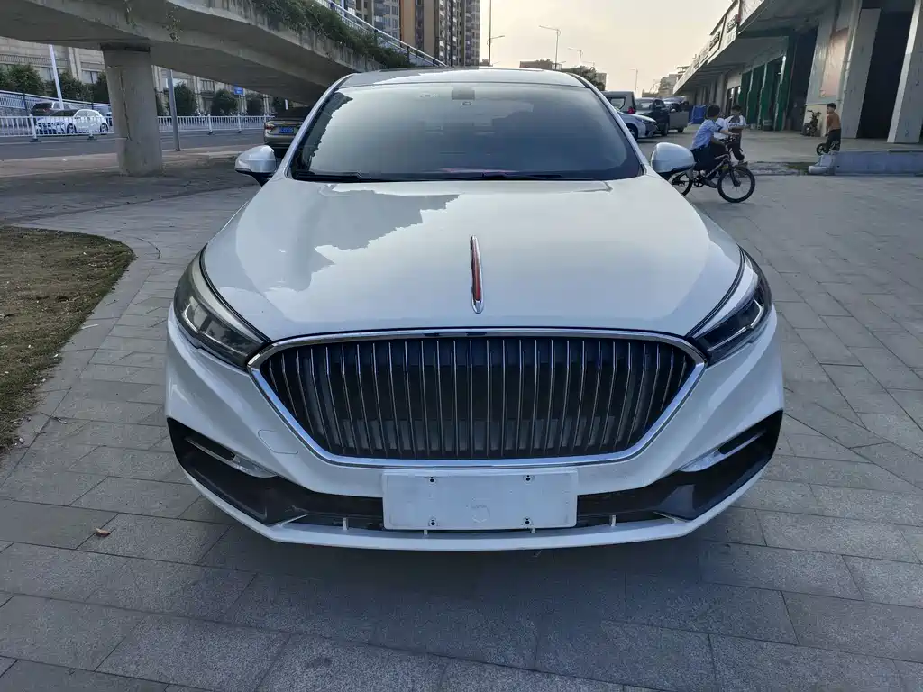 Hongqi H5 2019 30TD dynamic version купить на сайте DeffCars
