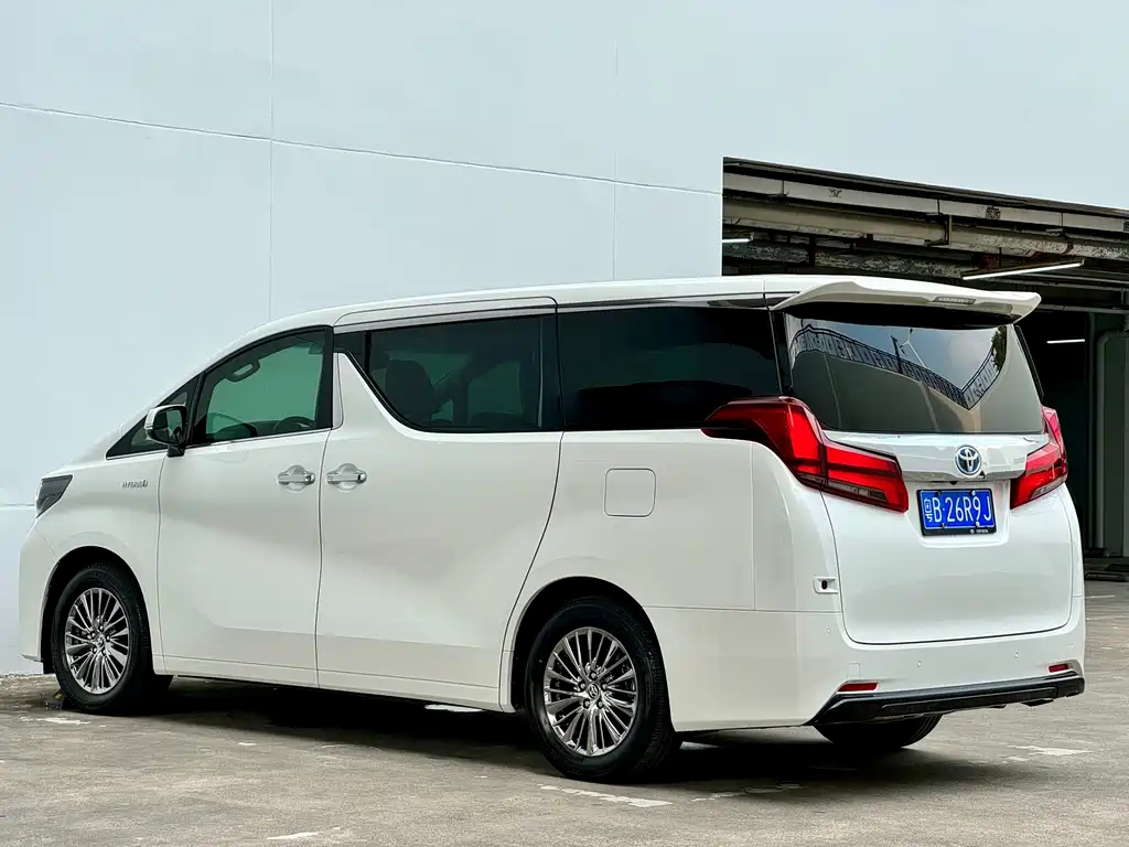 Alfa 2019 Shuangqing 2.5L Premium Edition купить на сайте DeffCars