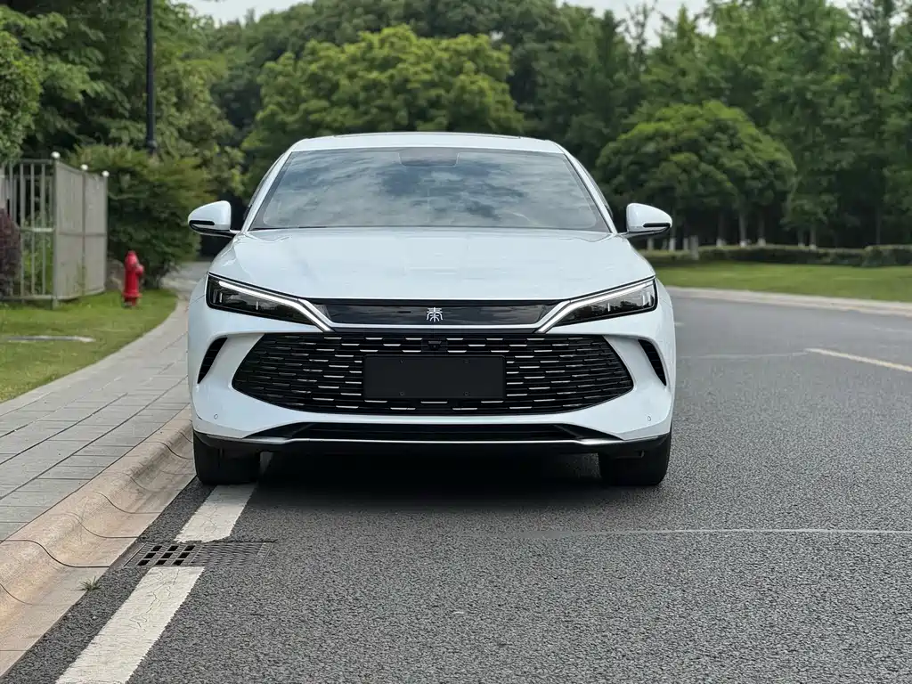 Qin L 2024 DM-i 120KM leading model купить на сайте DeffCars